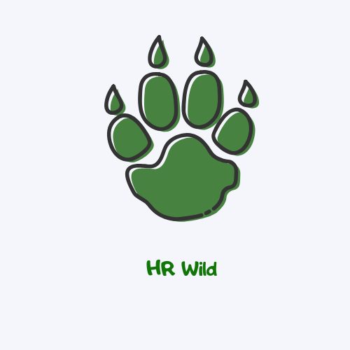 HR Wild Sp. z o. o.