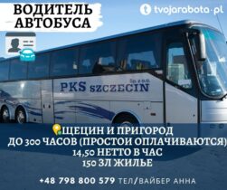 Водитель автобуса без польского 8 | hr-freelance.com
